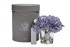 Диффузор Hydrangea&Rosebud blue , спрей Winter in Chatou 2*10 ml в упак. (TT-00014741)