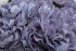 Диффузор Hydrangea&Rosebud blue , спрей Winter in Chatou 2*10 ml в упак. (TT-00014741)