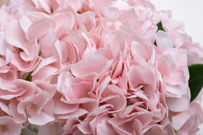 Диффузор Hydrangea&Rosebud pink , спрей Eau de vie 2*10ml в упак. (TT-00014742) Диффузор Hydrangea&Rosebud pink , спрей Eau de vie 2*10ml в упак. (TT-00014742)