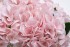 Диффузор Hydrangea&Rosebud pink , спрей Eau de vie 2*10ml в упак. (TT-00014742)