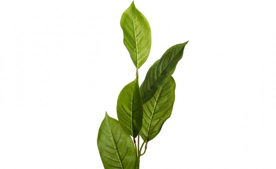 Листья жакаранды 84 см, (24) (00002906)