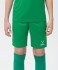 Шорты игровые JOGEL CAMP Classic Shorts, зеленый/белый, детский (702548) Шорты игровые JOGEL CAMP Classic Shorts, зеленый/белый, детский (702548)