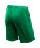 Шорты игровые JOGEL CAMP Classic Shorts, зеленый/белый, детский (702548) Шорты игровые JOGEL CAMP Classic Shorts, зеленый/белый, детский (702548)