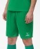 Шорты игровые JÖGEL CAMP Classic Shorts, зеленый/белый (702558)