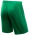 Шорты игровые JÖGEL CAMP Classic Shorts, зеленый/белый (702558)