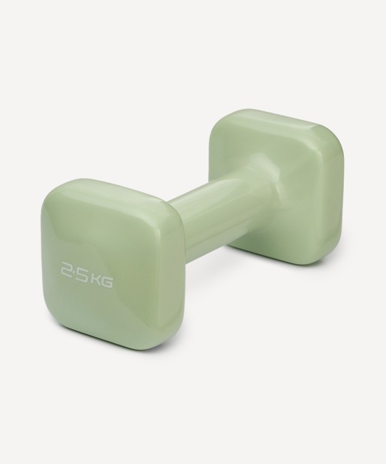 Гантель виниловая STARFIT DB-106 2,5 кг, оливковый (2119188) Гантель виниловая STARFIT DB-106 2,5 кг, оливковый (2119188)